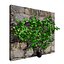 UK Trees Plants  Hedgerow 3D Model Pack