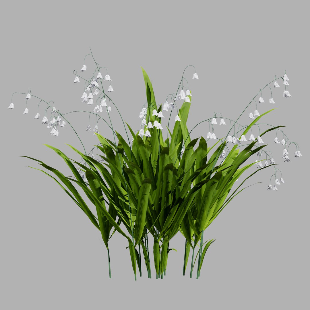 UK Trees Plants  Hedgerow 3D Model Pack 3D model https://p.turbosquid.com/ts-thumb/uM/3IpVfn/HM/photorealisticlilyofthevalley2/jpg/1761542475/1920x1080/fit_q87/4dd24c3e85cf6b8fe59dc3bd7209f5dce2934eef/photorealisticlilyofthevalley2.jpg