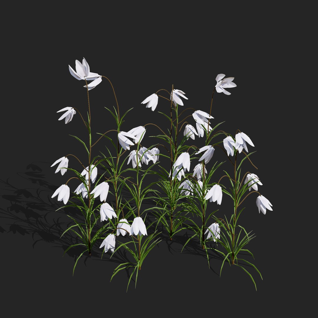 UK Trees Plants  Hedgerow 3D Model Pack 3D model https://p.turbosquid.com/ts-thumb/uM/3IpVfn/Jt/britishfritillaryflowers3/jpg/1761542359/1920x1080/fit_q87/bbf731a09b56135e52cf71530773c3e0f312cbae/britishfritillaryflowers3.jpg