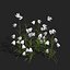 UK Trees Plants  Hedgerow 3D Model Pack