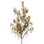 UK Trees Plants  Hedgerow 3D Model Pack