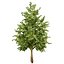 UK Trees Plants  Hedgerow 3D Model Pack