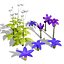 UK Trees Plants  Hedgerow 3D Model Pack