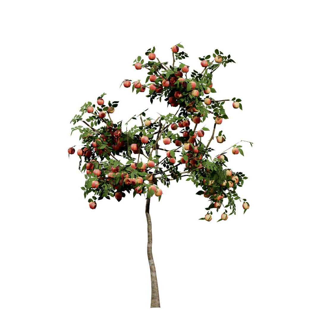 UK Trees Plants  Hedgerow 3D Model Pack 3D model https://p.turbosquid.com/ts-thumb/uM/3IpVfn/S6/applemalusbramleystree3/jpg/1761542309/1920x1080/fit_q87/77d4103a4351dbb25df6240e480f0f9f72538bec/applemalusbramleystree3.jpg