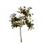 UK Trees Plants  Hedgerow 3D Model Pack