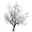 UK Trees Plants  Hedgerow 3D Model Pack