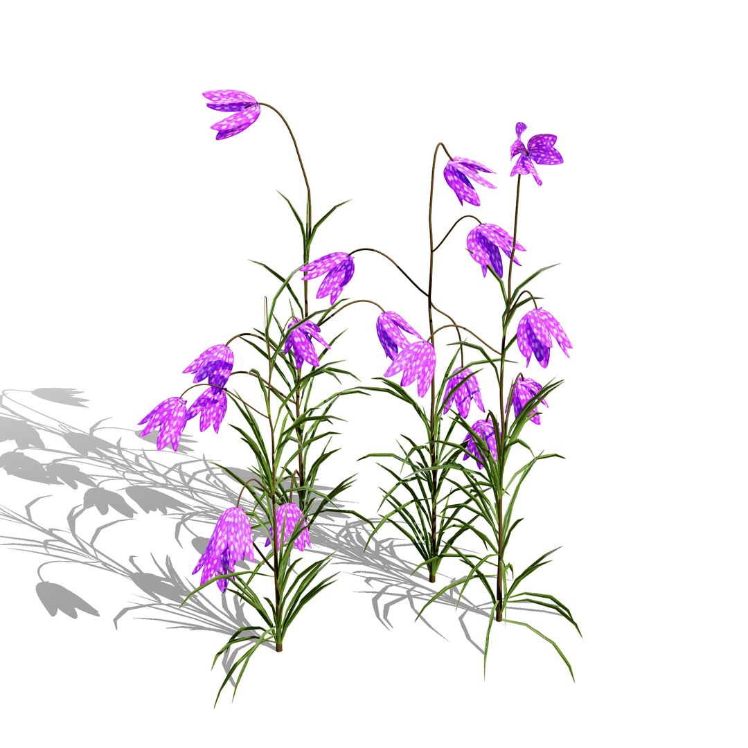 UK Trees Plants  Hedgerow 3D Model Pack 3D model https://p.turbosquid.com/ts-thumb/uM/3IpVfn/U8/britishfritillaryflowers1/jpg/1761542351/1920x1080/fit_q87/623c3873f5fce2be83525ba1001749fabd32b80d/britishfritillaryflowers1.jpg