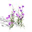 UK Trees Plants  Hedgerow 3D Model Pack