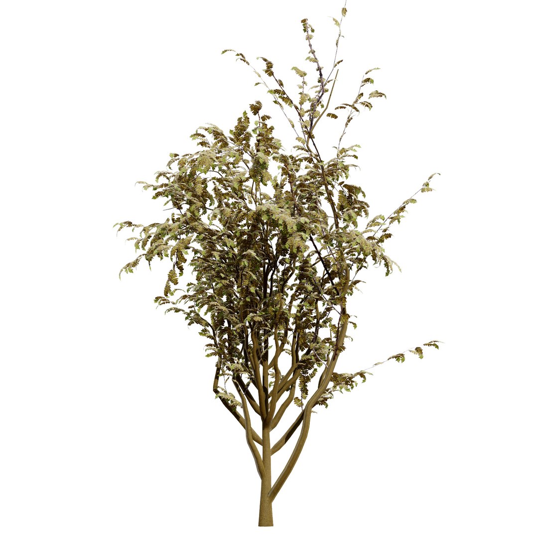 UK Trees Plants  Hedgerow 3D Model Pack 3D model https://p.turbosquid.com/ts-thumb/uM/3IpVfn/VP/britisharranwhitebeam3/jpg/1761542341/1920x1080/fit_q87/53301e3f9869da9830b2ed6358a9dee2c135cf22/britisharranwhitebeam3.jpg