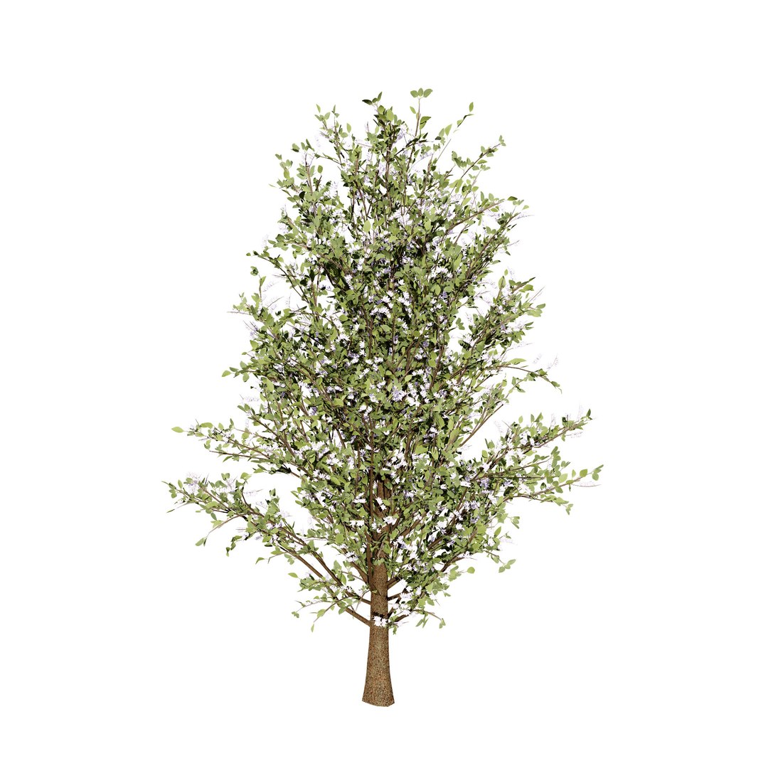 UK Trees Plants  Hedgerow 3D Model Pack 3D model https://p.turbosquid.com/ts-thumb/uM/3IpVfn/X7/britishplymouthpeartree2/jpg/1761542405/1920x1080/fit_q87/48844606084eed0216c2072d6829bc8362314935/britishplymouthpeartree2.jpg