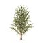 UK Trees Plants  Hedgerow 3D Model Pack