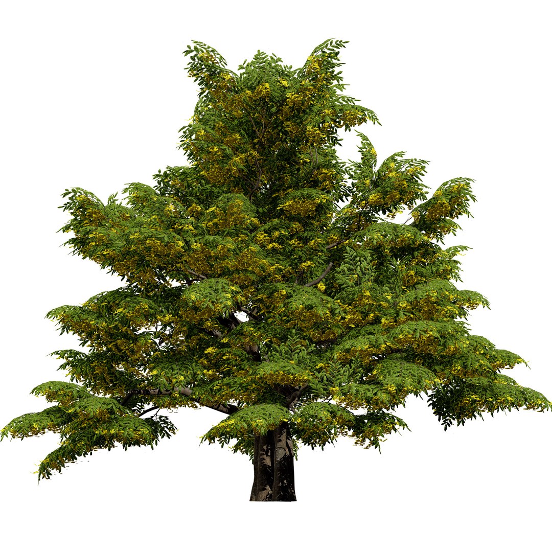 UK Trees Plants  Hedgerow 3D Model Pack 3D model https://p.turbosquid.com/ts-thumb/uM/3IpVfn/X7/ukhedgerowhornbeam1/jpg/1761542520/1920x1080/fit_q87/c14319cec47b89519843648ccb76de1d0ce3c796/ukhedgerowhornbeam1.jpg