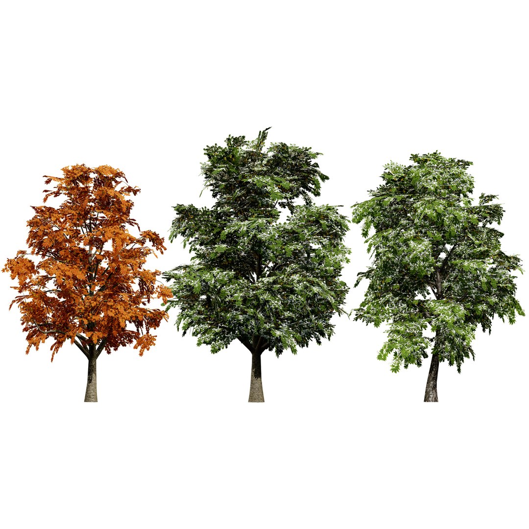 UK Trees Plants  Hedgerow 3D Model Pack 3D model https://p.turbosquid.com/ts-thumb/uM/3IpVfn/bc/britishsycamoretree/jpg/1761542436/1920x1080/fit_q87/dc74a650b55c9a05b81f2ffd2af38cf78b76d948/britishsycamoretree.jpg