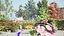 UK Trees Plants  Hedgerow 3D Model Pack