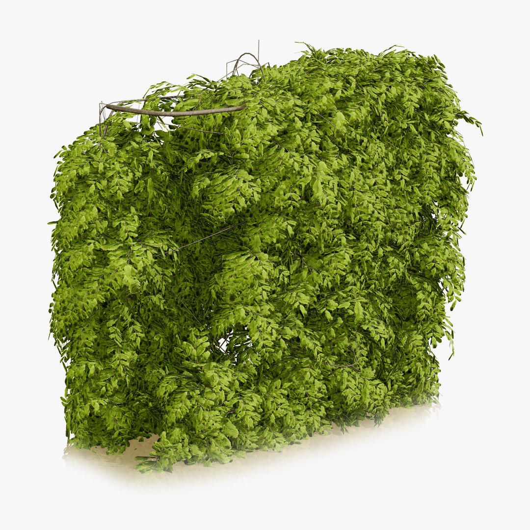 UK Trees Plants  Hedgerow 3D Model Pack 3D model https://p.turbosquid.com/ts-thumb/uM/3IpVfn/dW/ukhedgerowhornbeam3/jpg/1761542528/1920x1080/fit_q87/05a1e94b98f2c36652f901be4d28fd51ee964f20/ukhedgerowhornbeam3.jpg