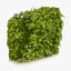UK Trees Plants  Hedgerow 3D Model Pack
