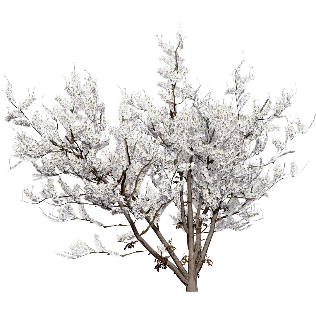 UK Trees Plants  Hedgerow 3D Model Pack 3D model https://p.turbosquid.com/ts-thumb/uM/3IpVfn/eR/ukhedgerowblackthorn1/jpg/1761542506/1920x1080/fit_q87/1f4d78b2725254c4e7424bf20d6f1d4ab17001c3/ukhedgerowblackthorn1.jpg