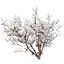 UK Trees Plants  Hedgerow 3D Model Pack