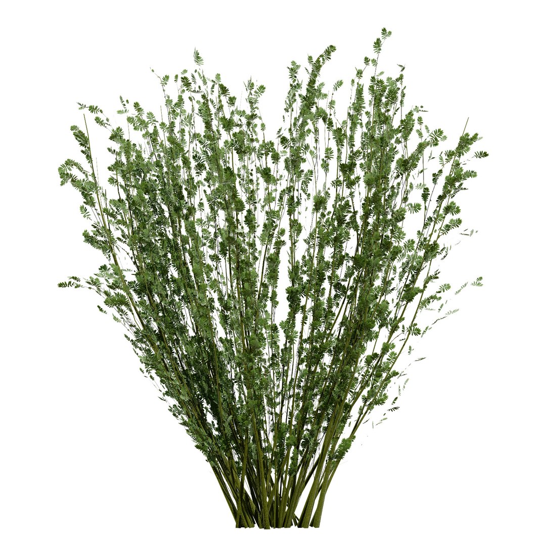 UK Trees Plants  Hedgerow 3D Model Pack 3D model https://p.turbosquid.com/ts-thumb/uM/3IpVfn/jE/britisharranwhitebeam1/jpg/1761542333/1920x1080/fit_q87/78a0323cf5bd2f75257a4a8ac3af9633dc8679ce/britisharranwhitebeam1.jpg