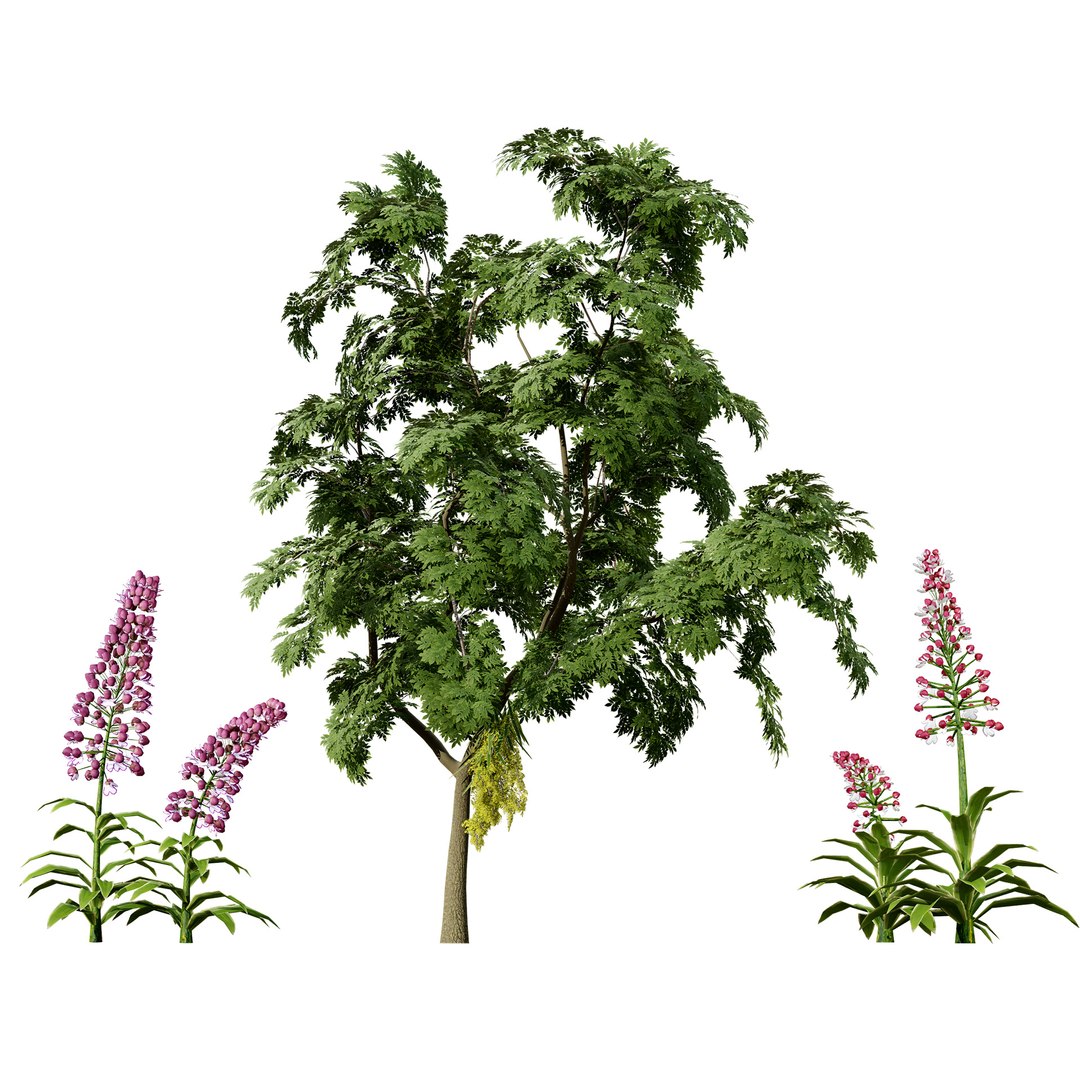 UK Trees Plants  Hedgerow 3D Model Pack 3D model https://p.turbosquid.com/ts-thumb/uM/3IpVfn/kY/britishladyorchidplantspack01/jpg/1761542379/1920x1080/fit_q87/c78ec4243076df5dcf09a8508ff40c525b40f3b9/britishladyorchidplantspack01.jpg