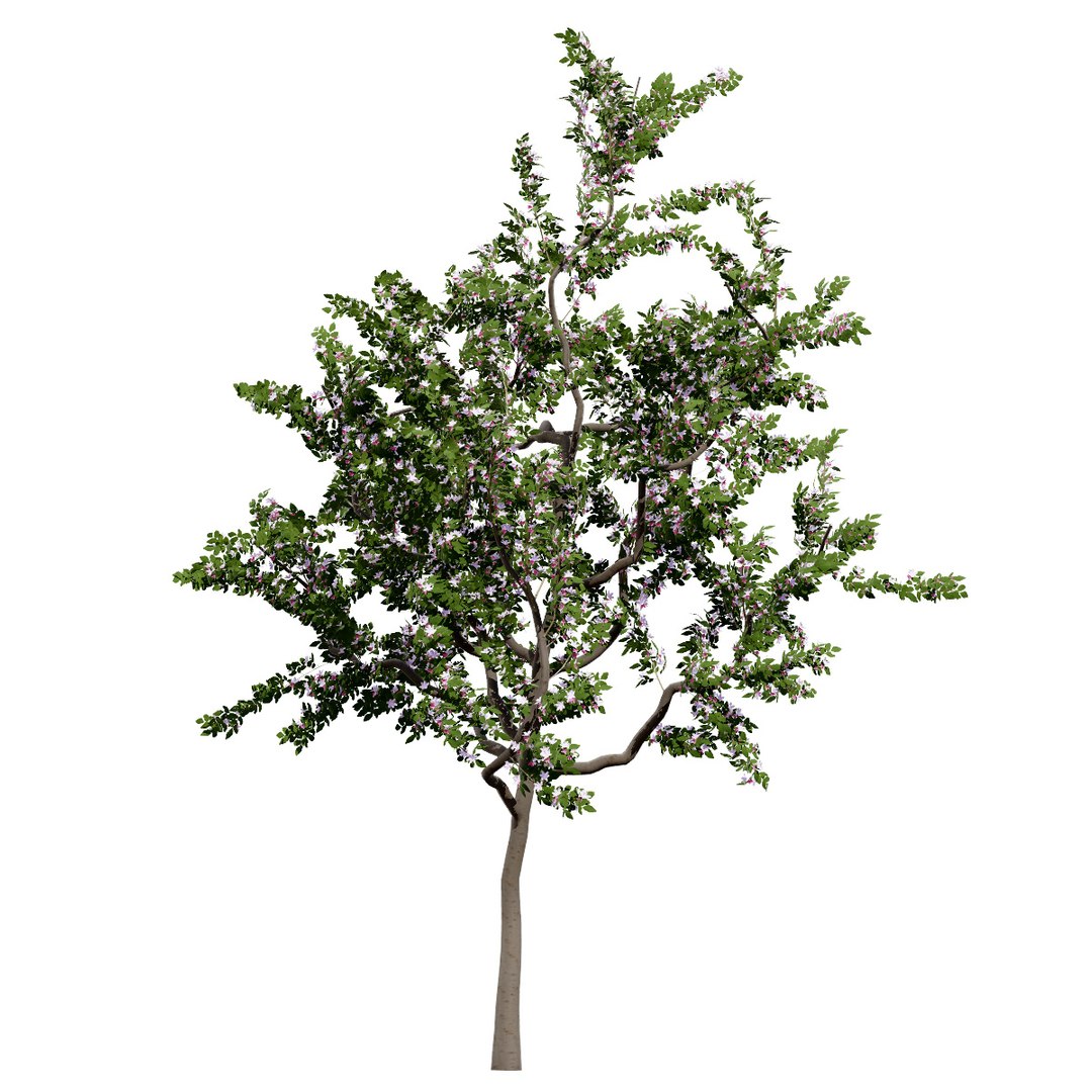 UK Trees Plants  Hedgerow 3D Model Pack 3D model https://p.turbosquid.com/ts-thumb/uM/3IpVfn/lR/applemalusbramleystree2/jpg/1761542307/1920x1080/fit_q87/418fc8f1c04f952fb95b091afd78bfcbc8253533/applemalusbramleystree2.jpg