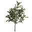 UK Trees Plants  Hedgerow 3D Model Pack