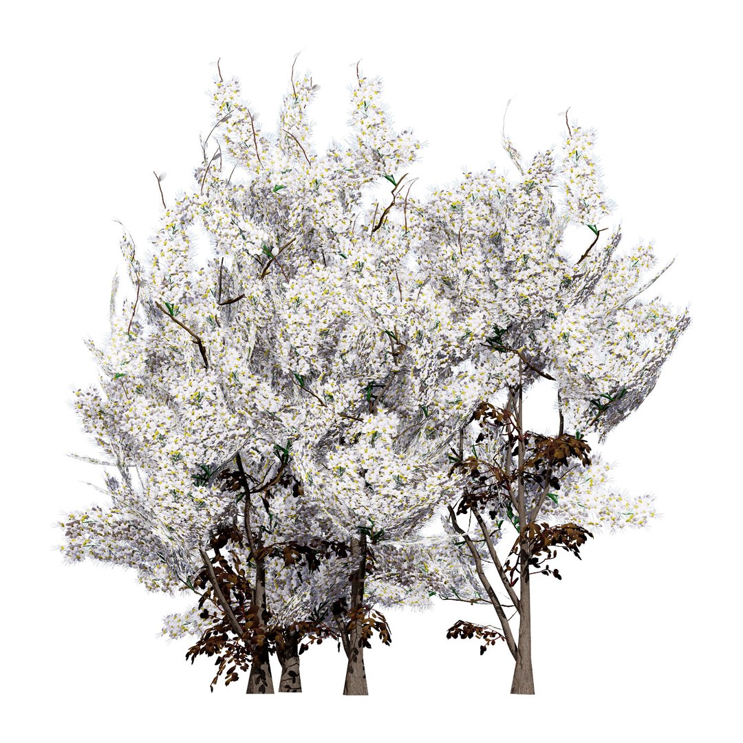 UK Trees Plants  Hedgerow 3D Model Pack 3D model https://p.turbosquid.com/ts-thumb/uM/3IpVfn/lm/ukhedgerowblackthorn3/jpg/1761542513/1920x1080/fit_q87/5a06cd08c1b79ea2a77e45be06b37142256e684e/ukhedgerowblackthorn3.jpg