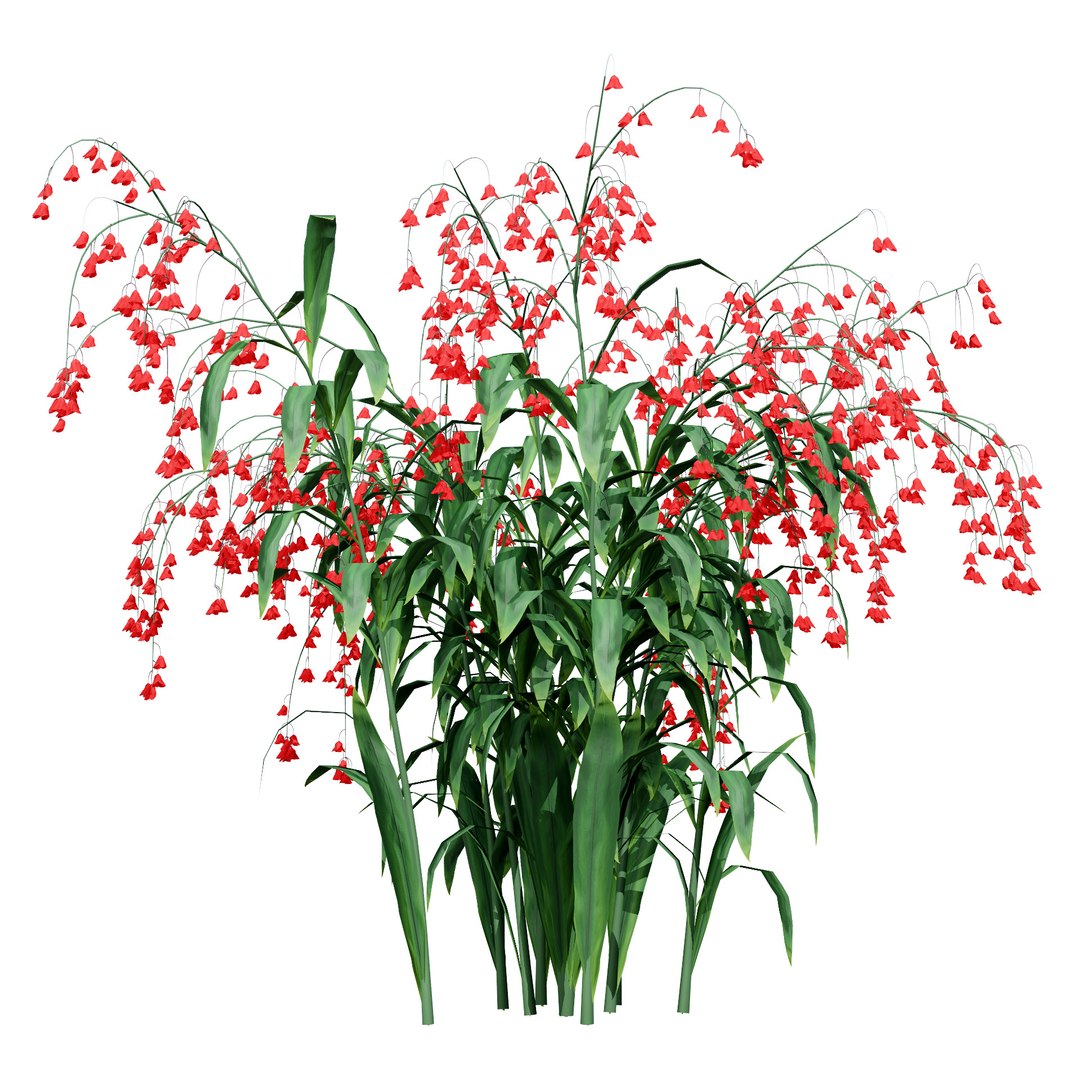 UK Trees Plants  Hedgerow 3D Model Pack 3D model https://p.turbosquid.com/ts-thumb/uM/3IpVfn/nf/photorealisticlilyofthevalley3/jpg/1761542482/1920x1080/fit_q87/9c900c2a9a2f9db7297a852992f08d0150e70ad8/photorealisticlilyofthevalley3.jpg