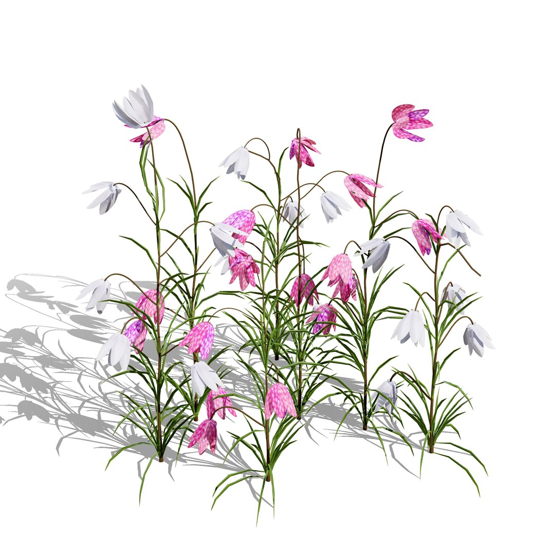 UK Trees Plants  Hedgerow 3D Model Pack 3D model https://p.turbosquid.com/ts-thumb/uM/3IpVfn/o5/britishfritillaryflowers2/jpg/1761542355/1920x1080/fit_q87/fca4cb8ba8b597b26dbcde9f98932088ecaa0924/britishfritillaryflowers2.jpg