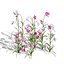UK Trees Plants  Hedgerow 3D Model Pack