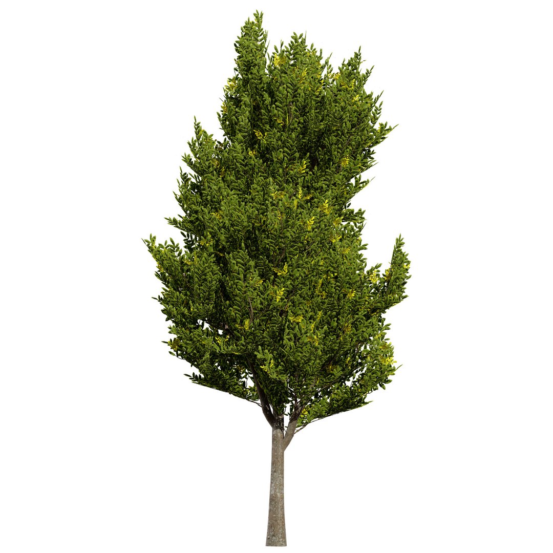 UK Trees Plants  Hedgerow 3D Model Pack 3D model https://p.turbosquid.com/ts-thumb/uM/3IpVfn/qR/ukhedgerowhornbeam2/jpg/1761542523/1920x1080/fit_q87/bcdfb6d6c1eb5d236fc4a690717183f01370943a/ukhedgerowhornbeam2.jpg