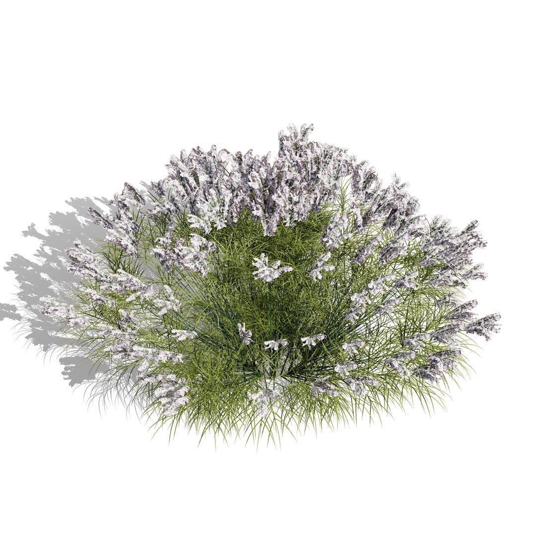 UK Trees Plants  Hedgerow 3D Model Pack 3D model https://p.turbosquid.com/ts-thumb/uM/3IpVfn/qT/britishlavandulabeezee3/jpg/1761542397/1920x1080/fit_q87/3fa3c46d4911f18d0ae401bcb57a9559179a141f/britishlavandulabeezee3.jpg