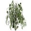 UK Trees Plants  Hedgerow 3D Model Pack