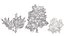 UK Trees Plants  Hedgerow 3D Model Pack