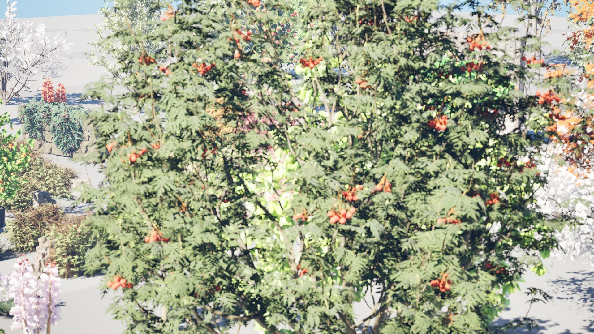 UK Trees Plants  Hedgerow 3D Model Pack 3D model https://p.turbosquid.com/ts-thumb/uM/3IpVfn/tM/02.0000/jpeg/1761521558/1920x1080/fit_q87/8a20ef4f0368ccc1d4aef5c33a92a70080a8b6be/02.0000.jpg