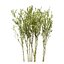 UK Trees Plants  Hedgerow 3D Model Pack