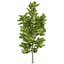 UK Trees Plants  Hedgerow 3D Model Pack