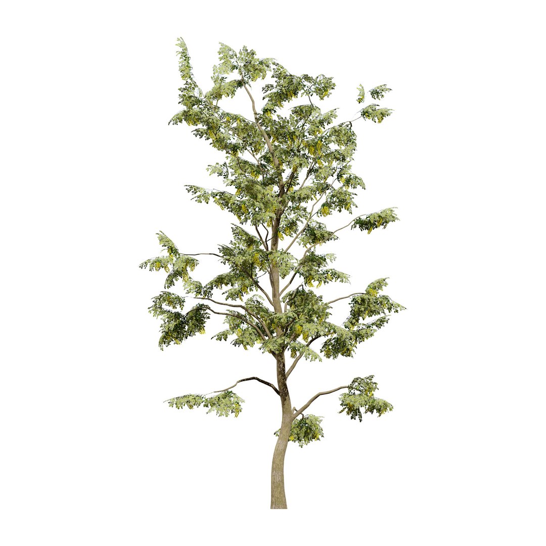 UK Trees Plants  Hedgerow 3D Model Pack 3D model https://p.turbosquid.com/ts-thumb/uM/3IpVfn/xM/ukalderbritishtrees1/jpg/1761542489/1920x1080/fit_q87/3885c3bd673068ba639f78f7c65e5578ba393ad1/ukalderbritishtrees1.jpg