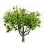 UK Trees Plants  Hedgerow 3D Model Pack