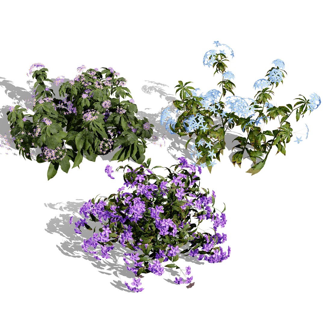 UK Trees Plants  Hedgerow 3D Model Pack 3D model https://p.turbosquid.com/ts-thumb/uM/3IpVfn/yF/britishforgetmenotmyosotis/jpg/1761542347/1920x1080/fit_q87/b6c872d09258bc5c7ab1fc376aac768e2ed64966/britishforgetmenotmyosotis.jpg