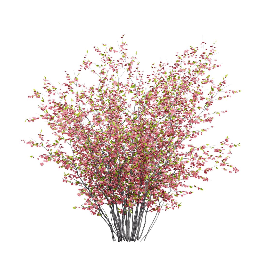 UK Trees Plants  Hedgerow 3D Model Pack 3D model https://p.turbosquid.com/ts-thumb/uM/3IpVfn/yL/britishquincetree1/jpg/1761542419/1920x1080/fit_q87/8fced6aec0742f49a531c604f85a8e536333c6e2/britishquincetree1.jpg