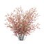 UK Trees Plants  Hedgerow 3D Model Pack
