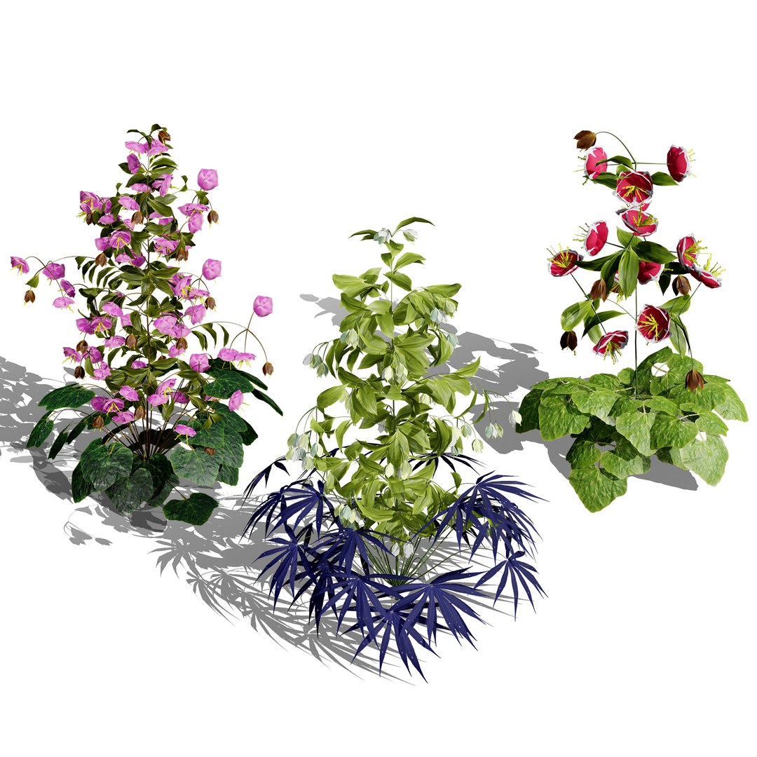 UK Trees Plants  Hedgerow 3D Model Pack 3D model https://p.turbosquid.com/ts-thumb/uM/3IpVfn/z3/britishhellebores01/jpg/1761542365/1920x1080/fit_q87/1e817e75821c2db9317b60f70e65d543105cba2e/britishhellebores01.jpg