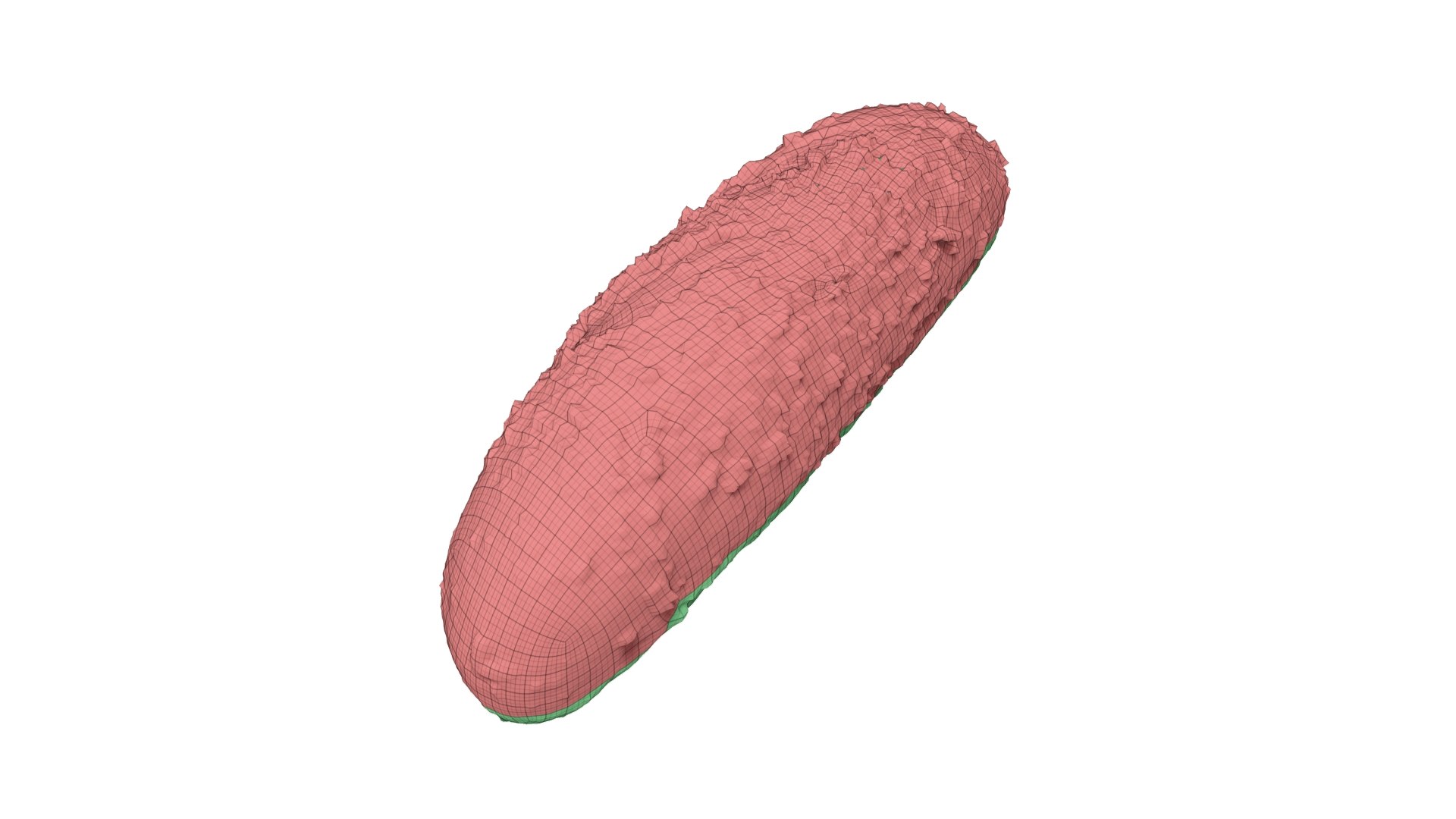 Multigrain Roll - Extreme Definition 3D Scanned 3D https://p.turbosquid.com/ts-thumb/uM/3wH1i9/9d/05edwireframesubd31/jpg/1621206918/1920x1080/fit_q87/7ba44b87ab02e7f40551efd1a7751d86ea6a60ce/05edwireframesubd31.jpg