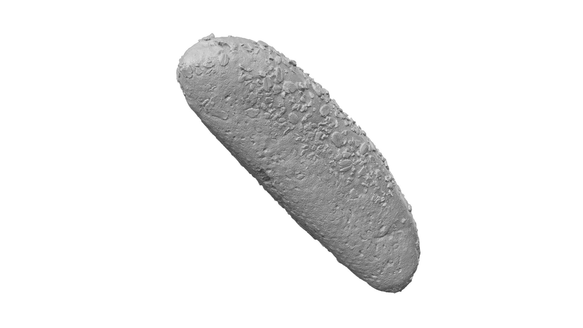 Multigrain Roll - Extreme Definition 3D Scanned 3D https://p.turbosquid.com/ts-thumb/uM/3wH1i9/lg/07edsculpt21/jpg/1621206928/1920x1080/fit_q87/7dd0f1a3c3fcbf3d365f78b67d8eef3eed943011/07edsculpt21.jpg