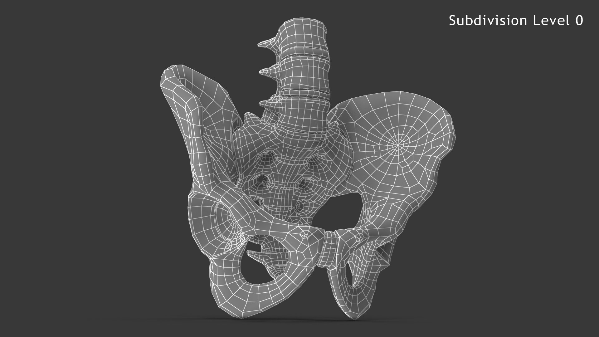 pelvis male skeleton model https://p.turbosquid.com/ts-thumb/uM/642nLZ/3q/018_malepelvis_sub0_v010144/png/1606670521/1920x1080/fit_q87/223e8e2c72e4e01086aacab2c5f8c2314903ddcc/018_malepelvis_sub0_v010144.jpg