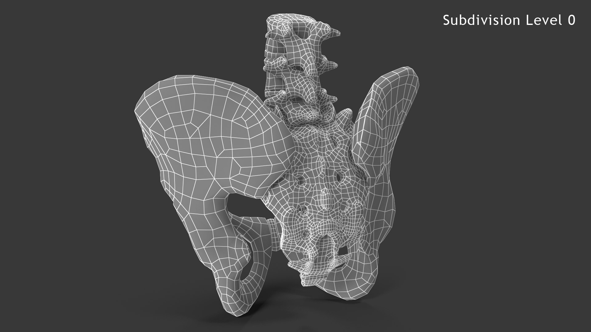 pelvis male skeleton model https://p.turbosquid.com/ts-thumb/uM/642nLZ/Eb/018_malepelvis_sub0_v010104/png/1606670521/1920x1080/fit_q87/edc5413931456a088adf594ce5a871f36ae80094/018_malepelvis_sub0_v010104.jpg