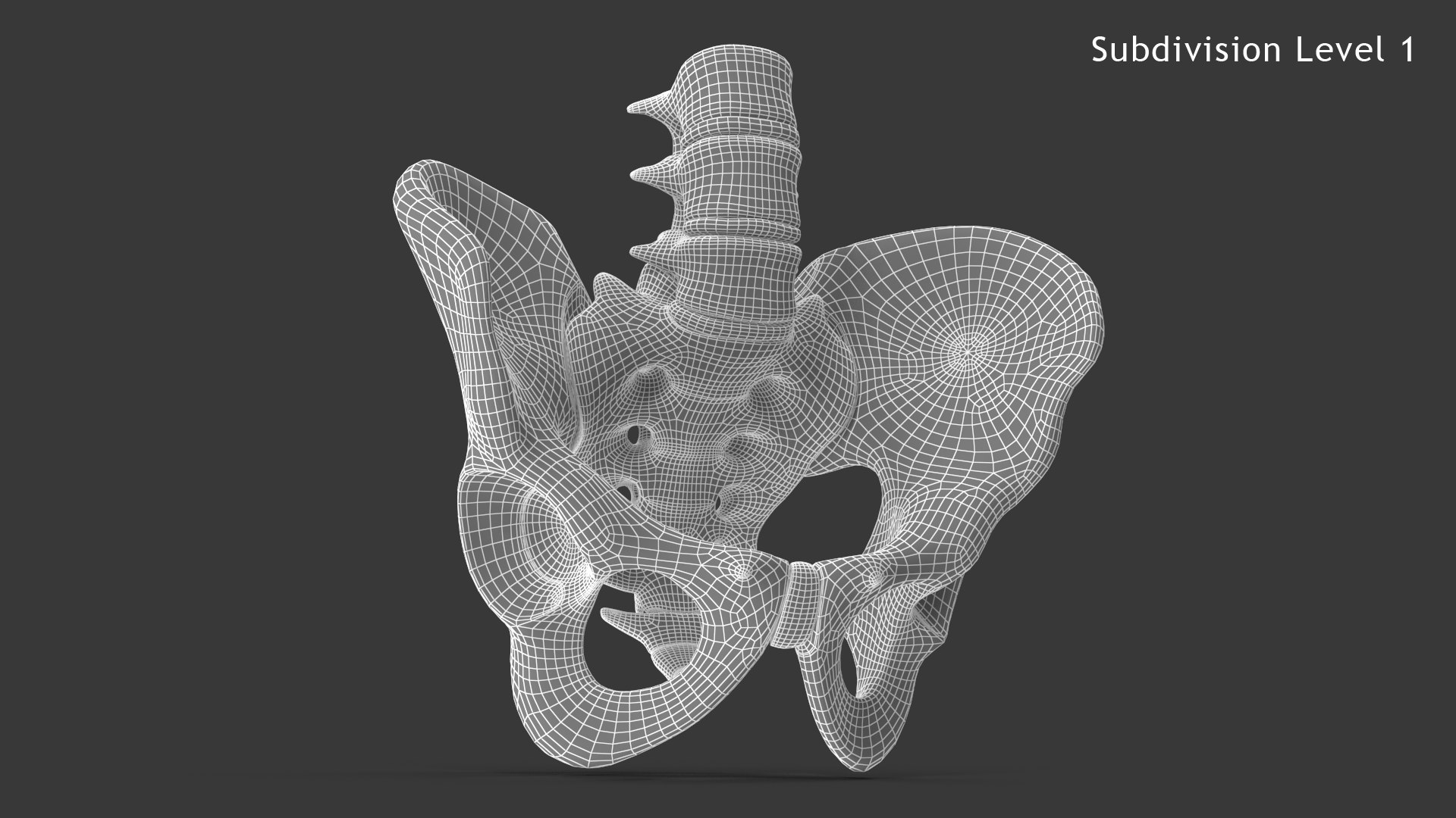 pelvis male skeleton model https://p.turbosquid.com/ts-thumb/uM/642nLZ/Xv/018_malepelvis_sub1_v010144/png/1606670580/1920x1080/fit_q87/f02bc81d99a82a8746ab3232c1a20d4db5625b75/018_malepelvis_sub1_v010144.jpg