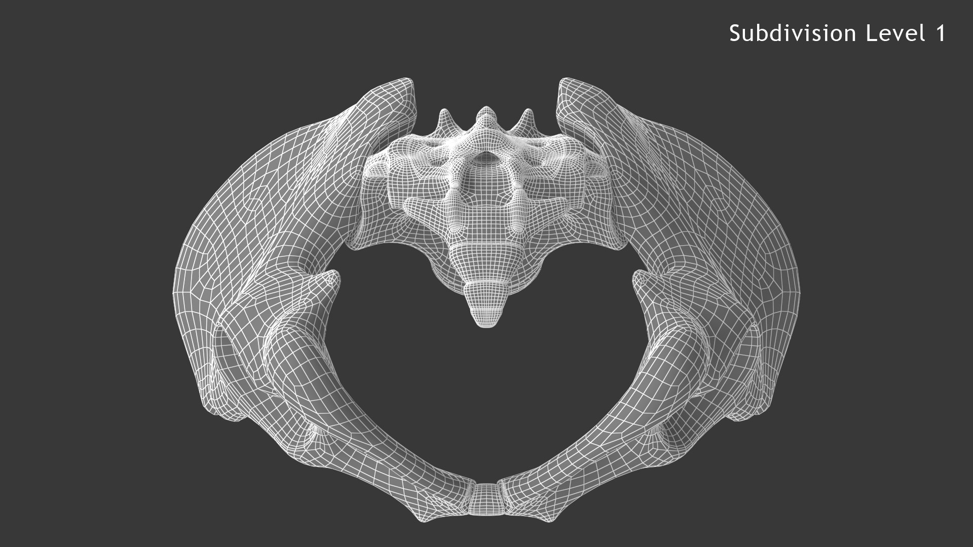pelvis male skeleton model https://p.turbosquid.com/ts-thumb/uM/642nLZ/lu/018_malepelvis_sub1_v010217/png/1606670580/1920x1080/fit_q87/cc6f94e3adbf9ac622d5cc5af2169c741c3af4b0/018_malepelvis_sub1_v010217.jpg