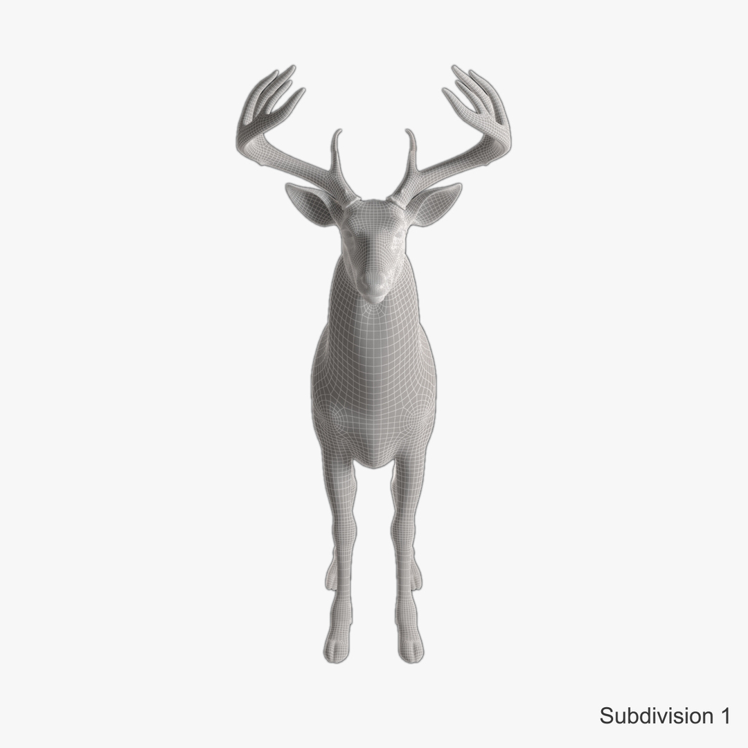 Deer Rigged 3d Model